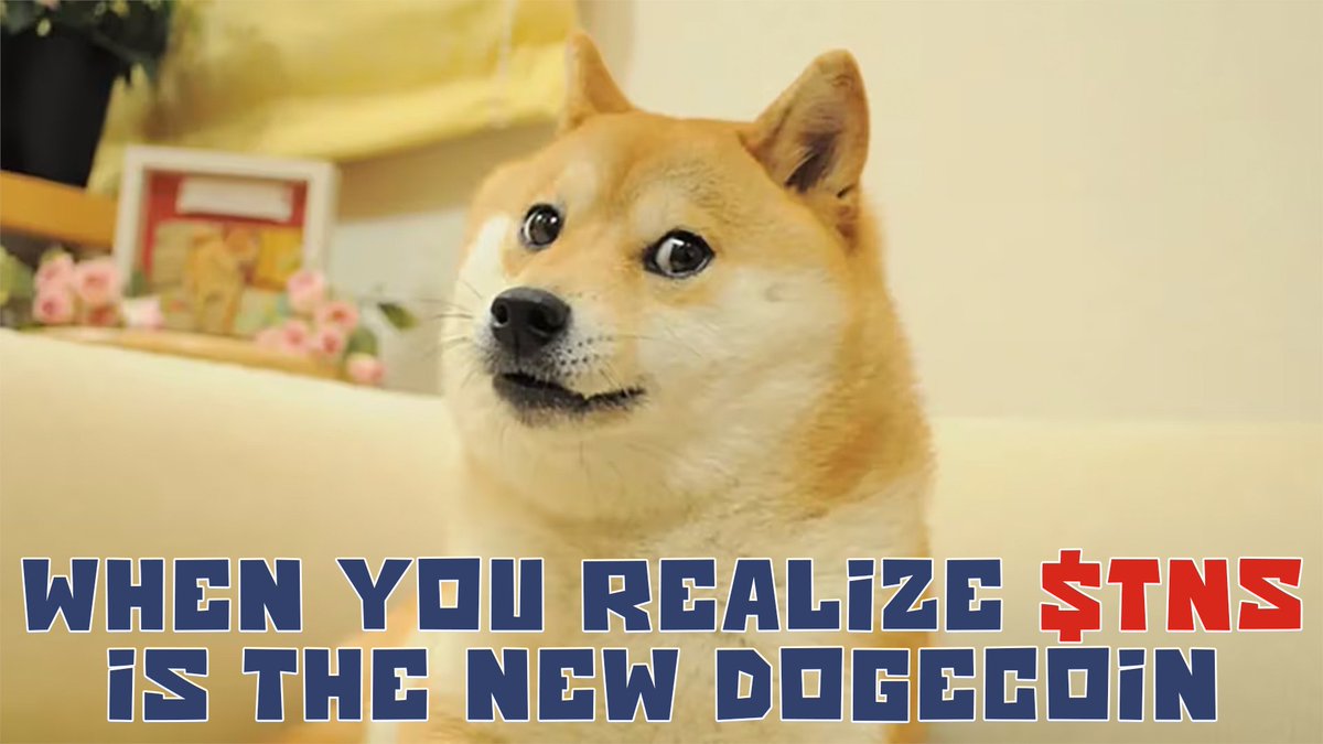 TNSMemeCoin's tweet photo. When you realize $TNS is the new Dogecoin 🚀🐶 #Crypto #MemeCoin https://t.co/FNDSS10TCN
