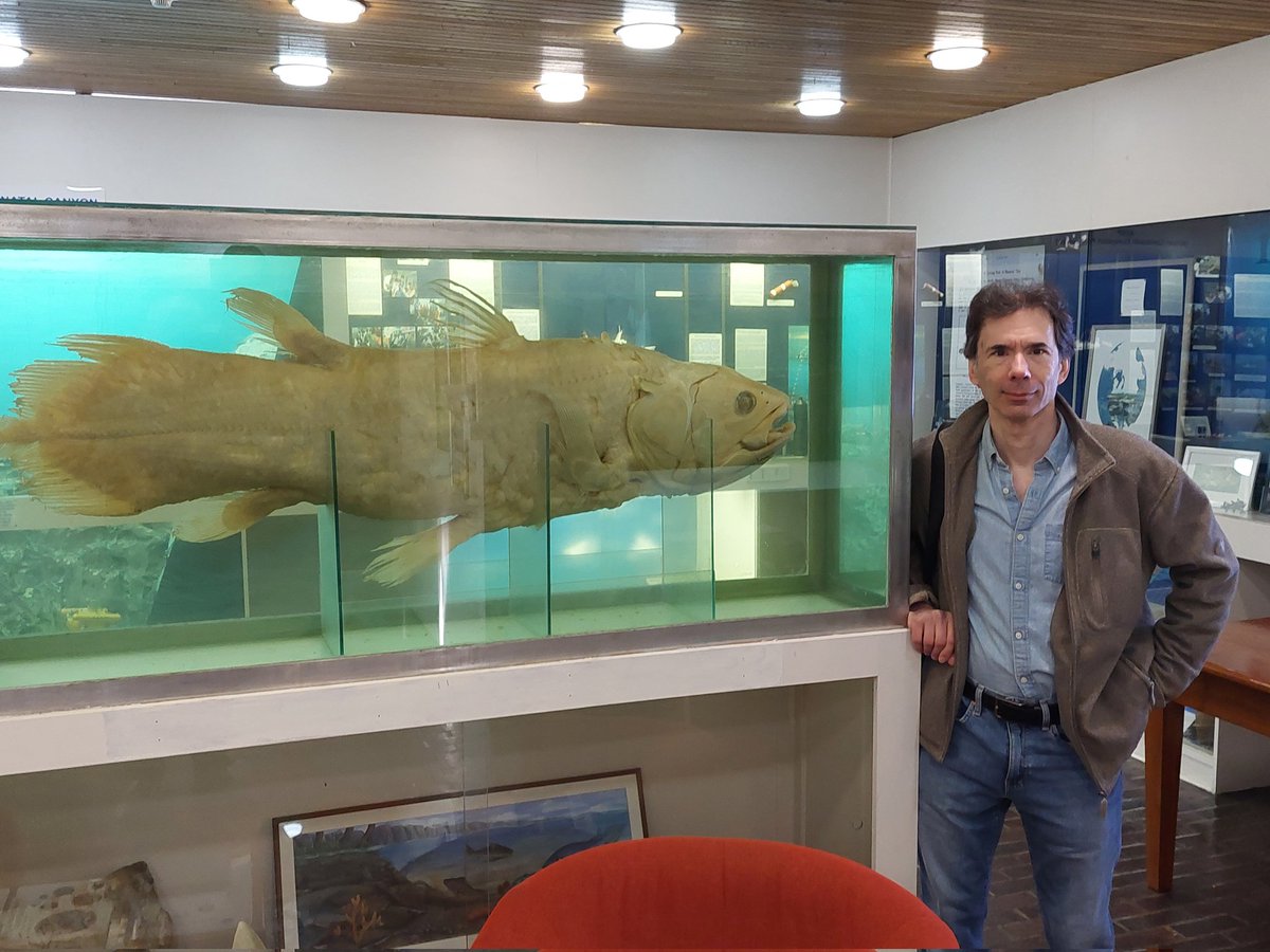 Anthony Ricciardi tweet media