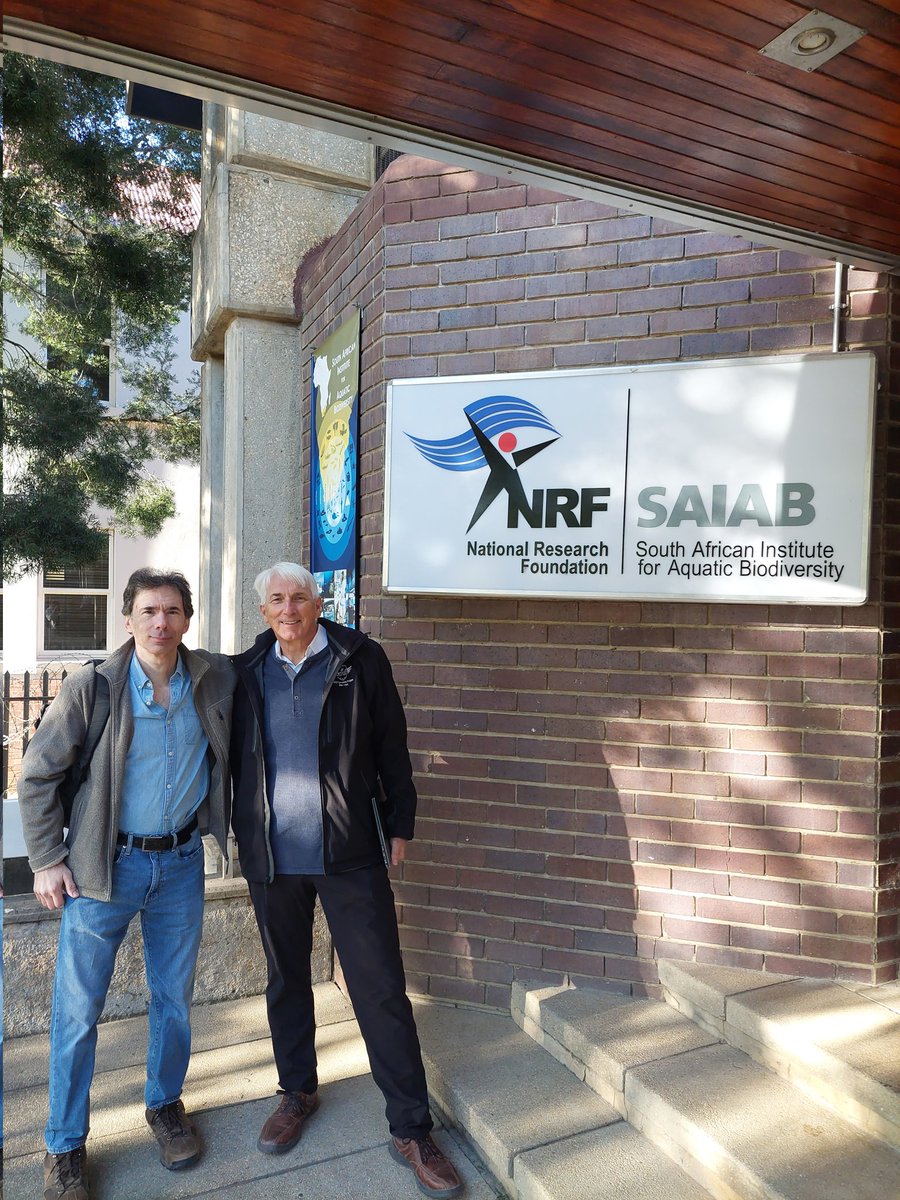 Anthony Ricciardi tweet media