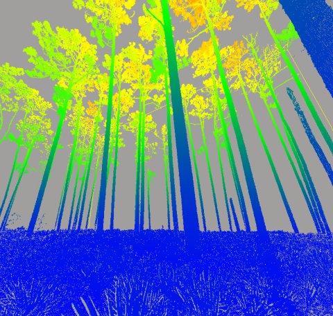 usfs_srs's tweet photo. Our latest #CompassLive introduces a new technical report for using Terrestrial Laser Scanning, a technology that allows efficient, accurate, and affordable fire effects monitoring. Read more about the technology and its uses: https://t.co/Wh2etjtfQx #ForestResearch https://t.co/N1A4u3eiHO