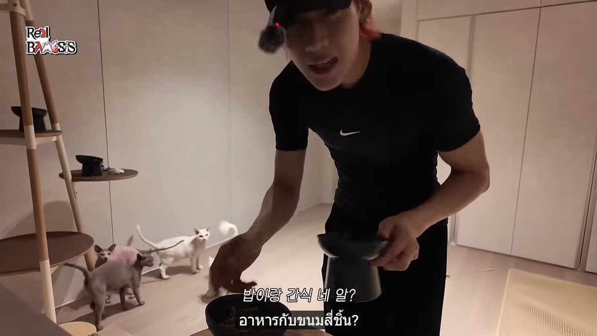 Joycamol's tweet photo. ตอนให้อาหารเด็กๆน่ารักมาก ยืนรอป่ะป๊ากันใหม่ แล้วป่ะป๊าก็จัดระเบียบให้นะ เพราะน้องคิงดูกลัวๆไม่กล้าเข้าไปกิน วันนี้เด็กๆได้ขนมตัวละ 4 ชิ้นด้วย
#BamBam @BamBam1A
#Real_BAMESIS_EP2 BAMESIS 컴백을 준비하는 뱀뱀의 데이오프 👀 https://t.co/MWyeQ8hcTn via @YouTube https://t.co/B8gXtxnpZy