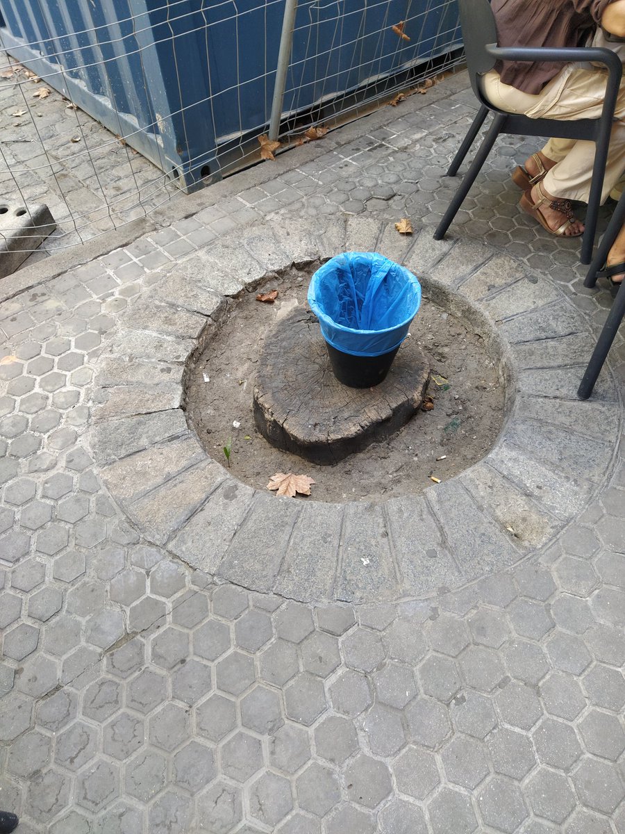 Ejemplo notable de cómo darle uso a un alcorque vacío por el gremio de veladores con permiso del Ayuntamiento. Eso sí, cuidado!, la papelera con su bolsa de basura y bien centrada. Sevilla en estado puro