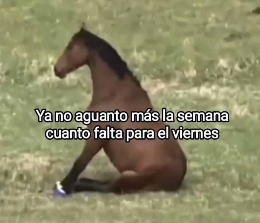 piña sin pizza (@skereunpesado) on Twitter photo 