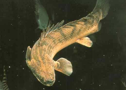 Dr.Joe 🇧🇷🖤💜🤍💛 tweet media