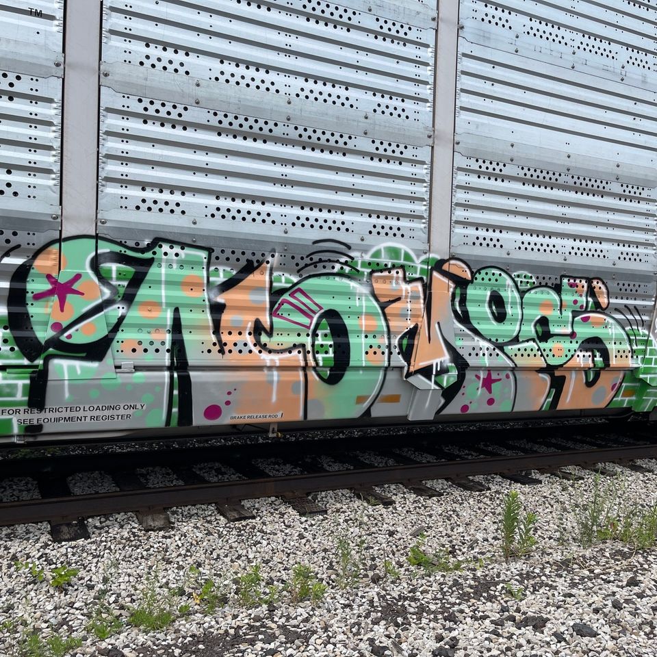 BombingScience's tweet photo. Flicks of the Week #301 is live! https://t.co/Q3D1PiF6gd
#flicksoftheweek #graffiti #graffitiblog #bombingscience #graffitiart #graffitiletters https://t.co/NcvHBJi5mg