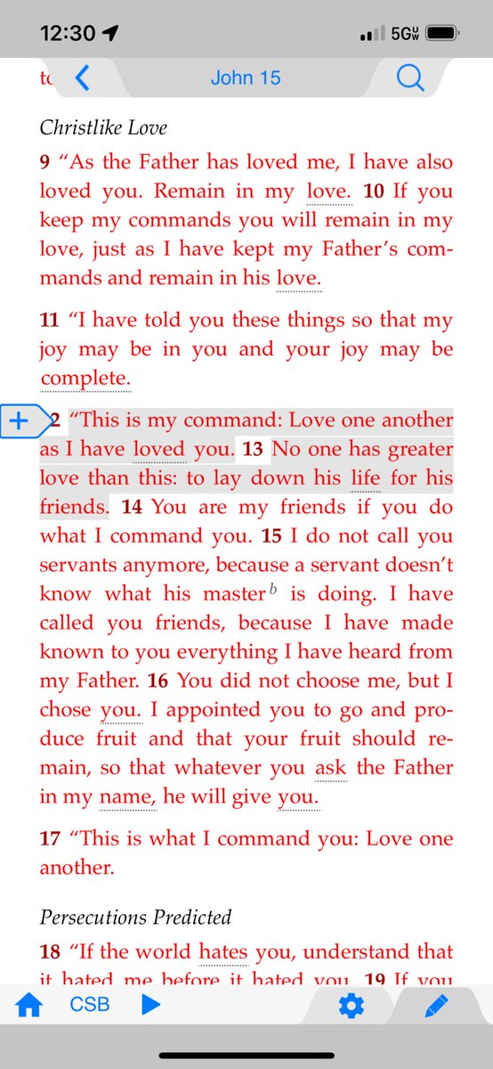 #12DaysofMisfits begins December 13!! tweet media