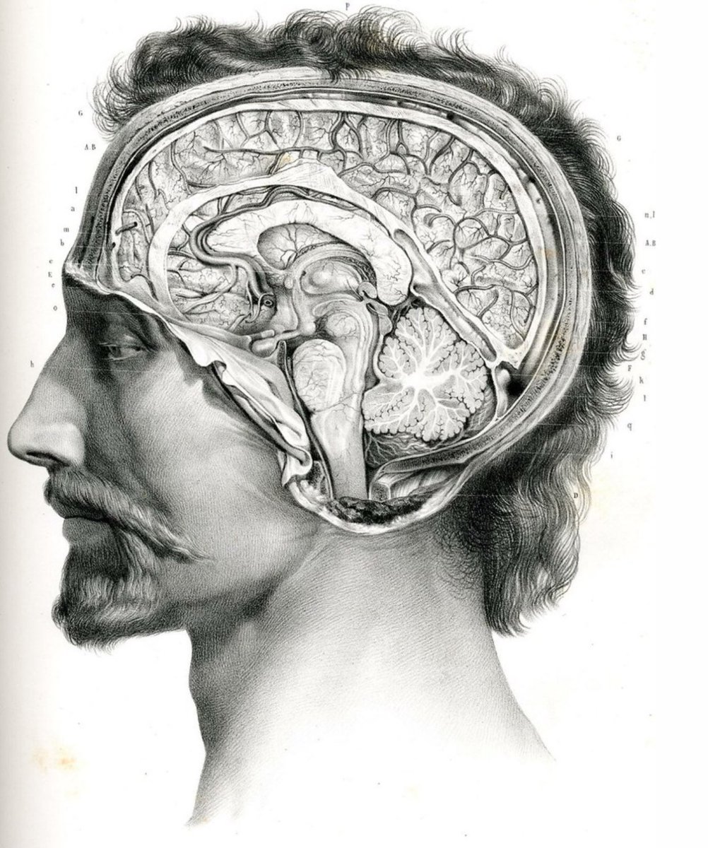 drteoa's tweet photo. La anatomía clásica 😍 https://t.co/5biKpwHIM6