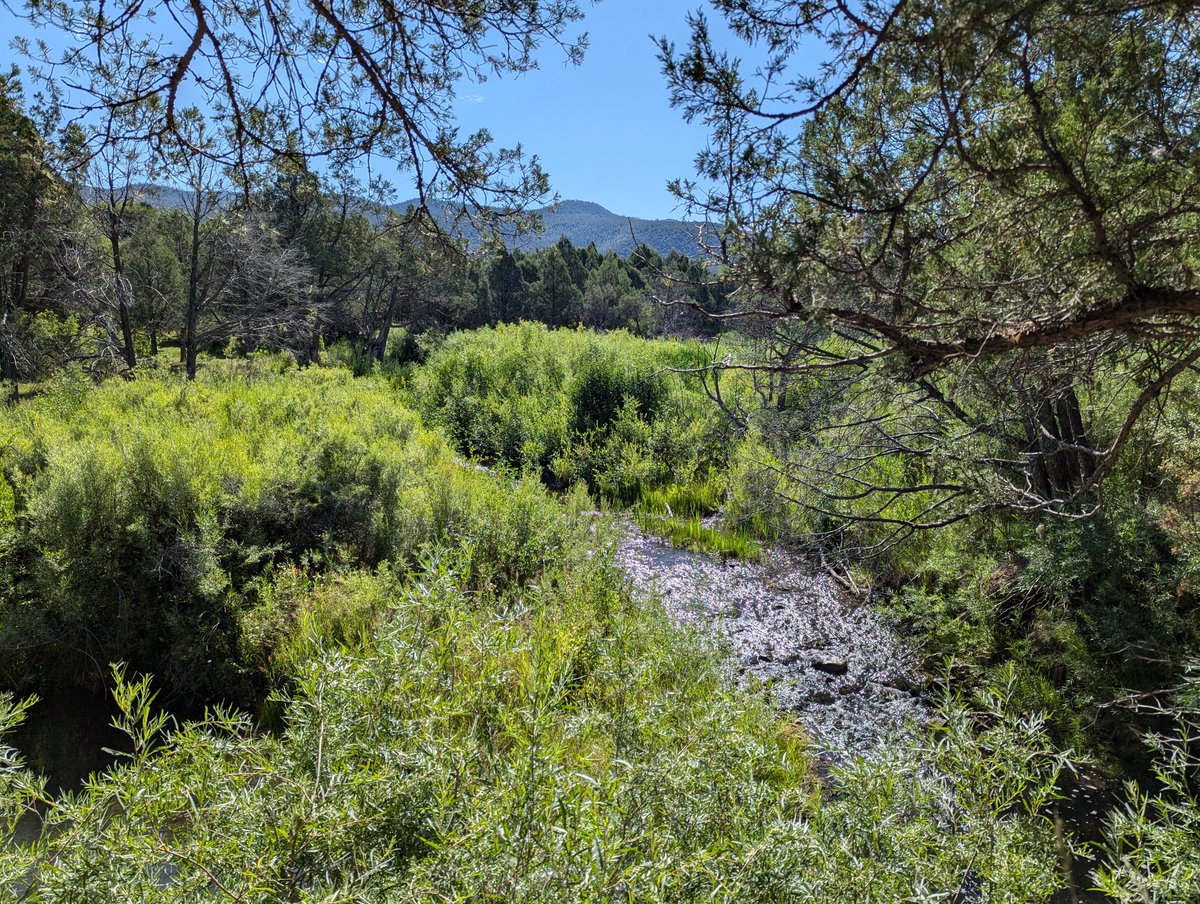 Dr. Rachel Wright (@its_rwright) on Twitter photo Here's my <a href="/SMUinTaos/">SMU-in-Taos</a> classroom and lab for the next couple weeks. Not pictured: my 4- and 1-year-old TAs. It'll be an adventure! Here's my <a href="/SMUinTaos/">SMU-in-Taos</a> classroom and lab for the next couple weeks. Not pictured: my 4- and 1-year-old TAs. It'll be an adventure!