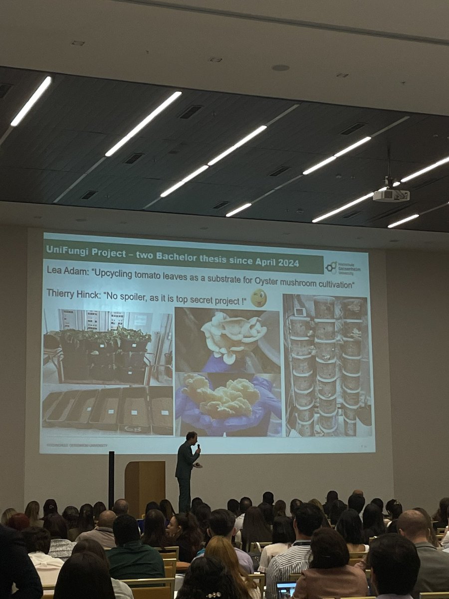 hongosto académico?