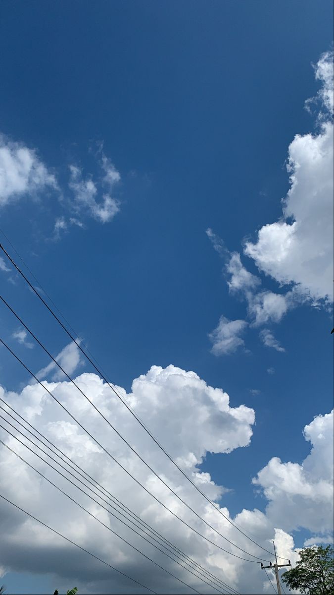 Tha_นู tweet media