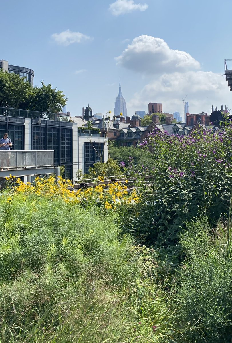PD_at_work's tweet photo. "I'm not a painter, but l can see things in my mind that I can translate into the ground. I can see things that will happen over time."-Piet Oudolf. Great to have visited this Dutch garden designer’s project the High Line in New York. 🇳🇱 🌳 🇺🇸 https://t.co/iPaHUlO64o