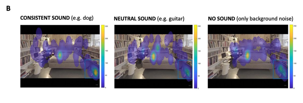 Multisensory Research Group (MRG) (@mrglabbcn) on Twitter photo 📢New paper out: 🔊🎸We answer a simple question in an eyetracking experiment: Do people spotaneously look at crossmodal congruent events? Now published in Psychological Research, read it here: rdcu.be/dQbSU Thanks <a href="/kvasova_daria/">Daria Kvasova</a> LL. Coll, T. Stweart 📢New paper out: 🔊🎸We answer a simple question in an eyetracking experiment: Do people spotaneously look at crossmodal congruent events? Now published in Psychological Research, read it here: rdcu.be/dQbSU Thanks <a href="/kvasova_daria/">Daria Kvasova</a> LL. Coll, T. Stweart