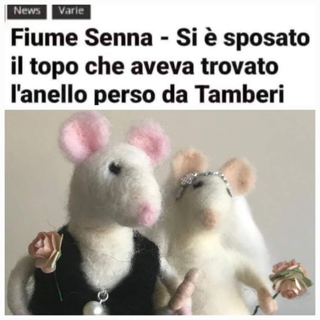 barbyblanche's tweet photo. Le storie a lieto fine🐀❤️🐀 https://t.co/GbeLNx382W