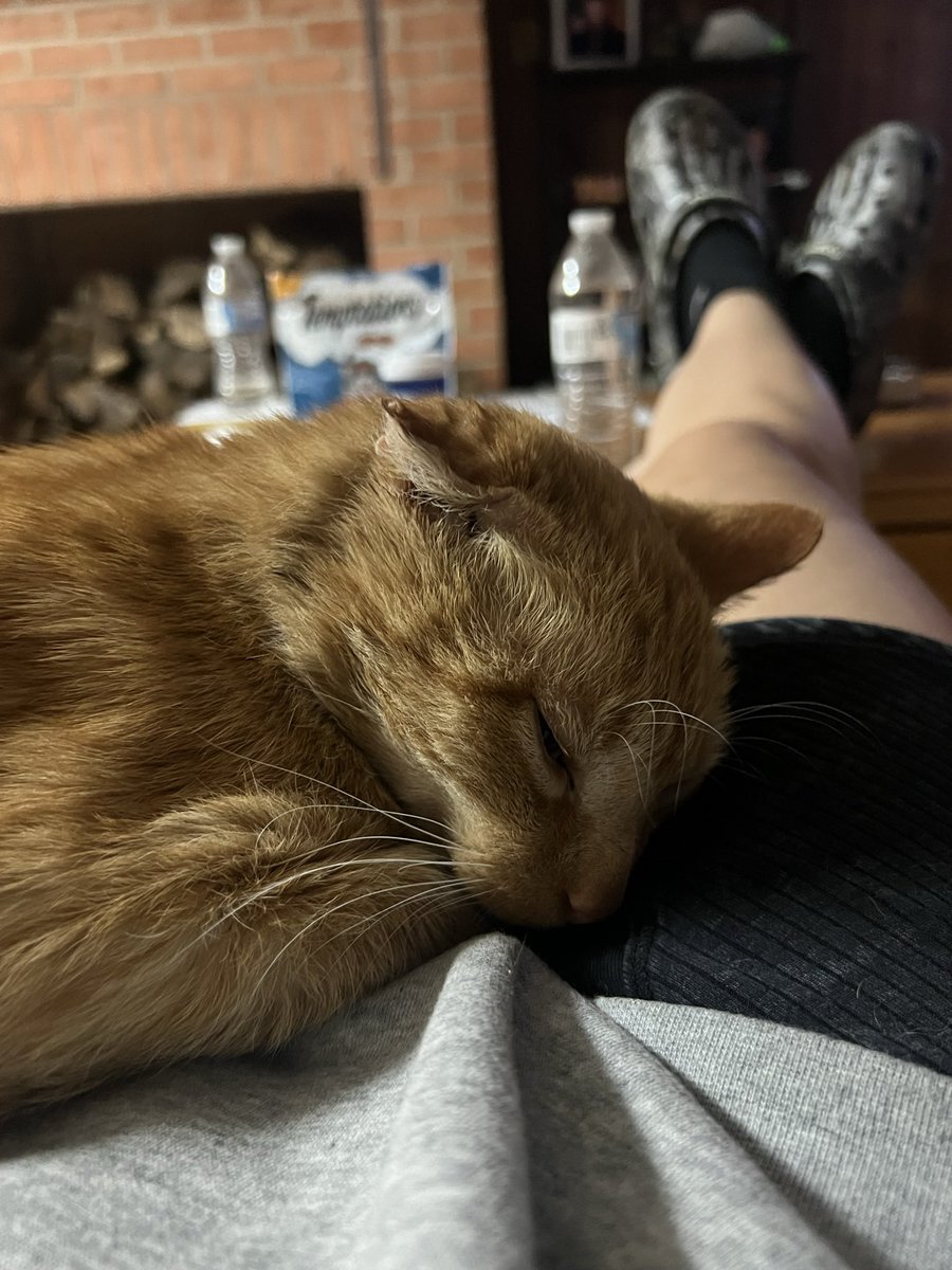 Kris Star tweet media