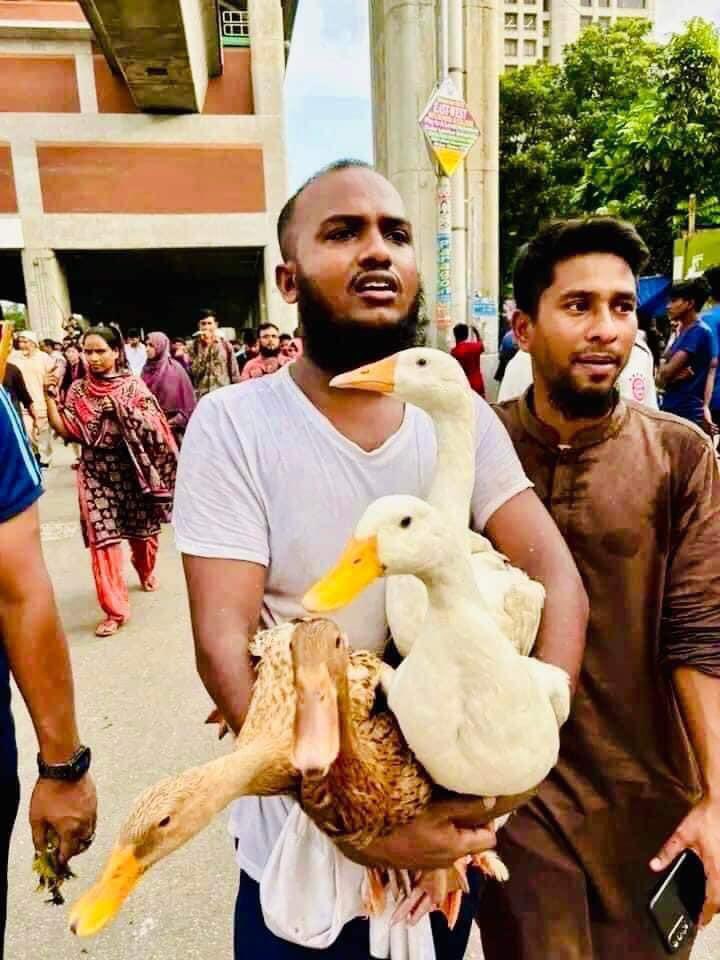 মাথায় টুপি, গালে সুন্নতি দাড়ি কিন্তু হাতে চুরির মুরগি - এই ইসলাম কার কাছ থেকে শিখলেন?
দুইটা মুরগির লোভ সামলাতে পারিনা, দেশ চুরির লোভ কিভাবে সামলাবো? এই ছবিগুলি তুমাদের পরবর্তী বংশধরদের  জন্য উজ্জল দৃষ্টান্ত হয়ে থাকবে।