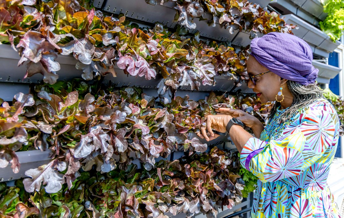 So pleased to receive @AfDB Country Manager <a href="/AissaToureSarr1/">Aissa Toure Sarr</a> today at <a href="/FAO/">Food and Agriculture Organization</a> #VerticalFarm.

We discussed the costs involved in farming on a building, markets that are available and the quick return on investments.

#GreenCities
#BetterNutrition