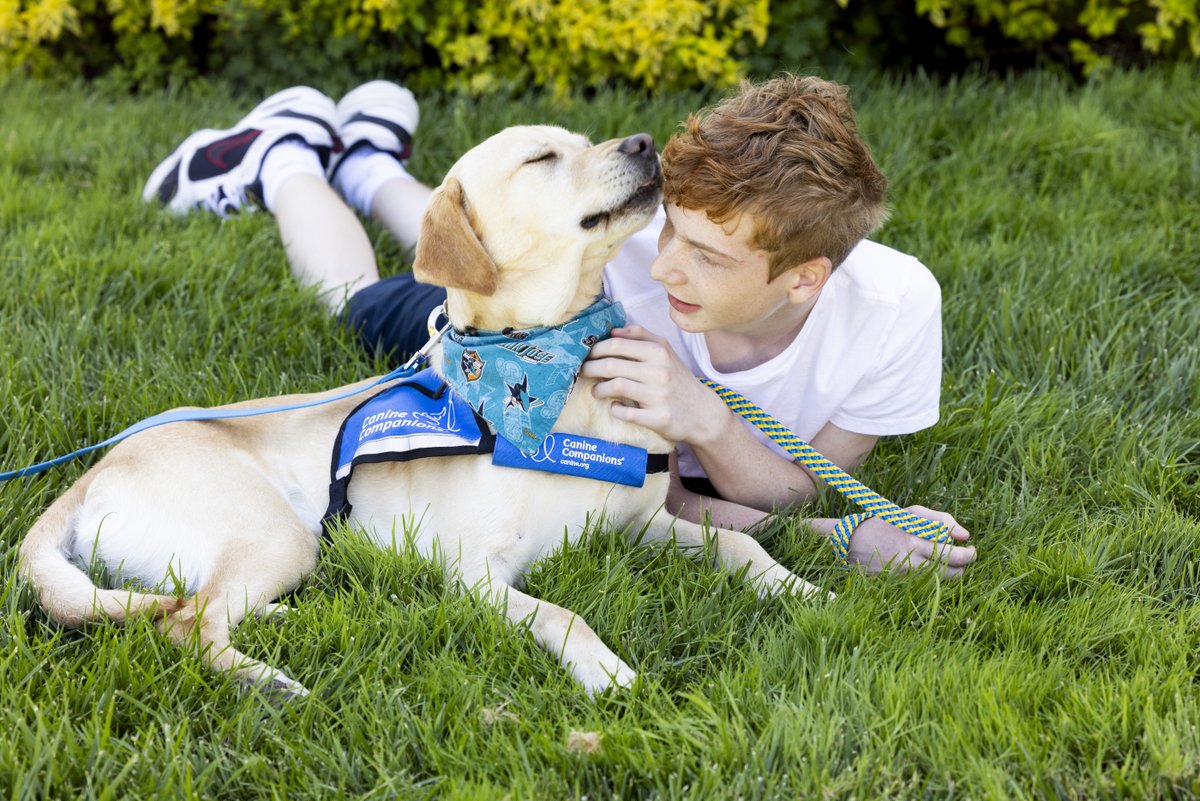 San Jose Sharks tweet media