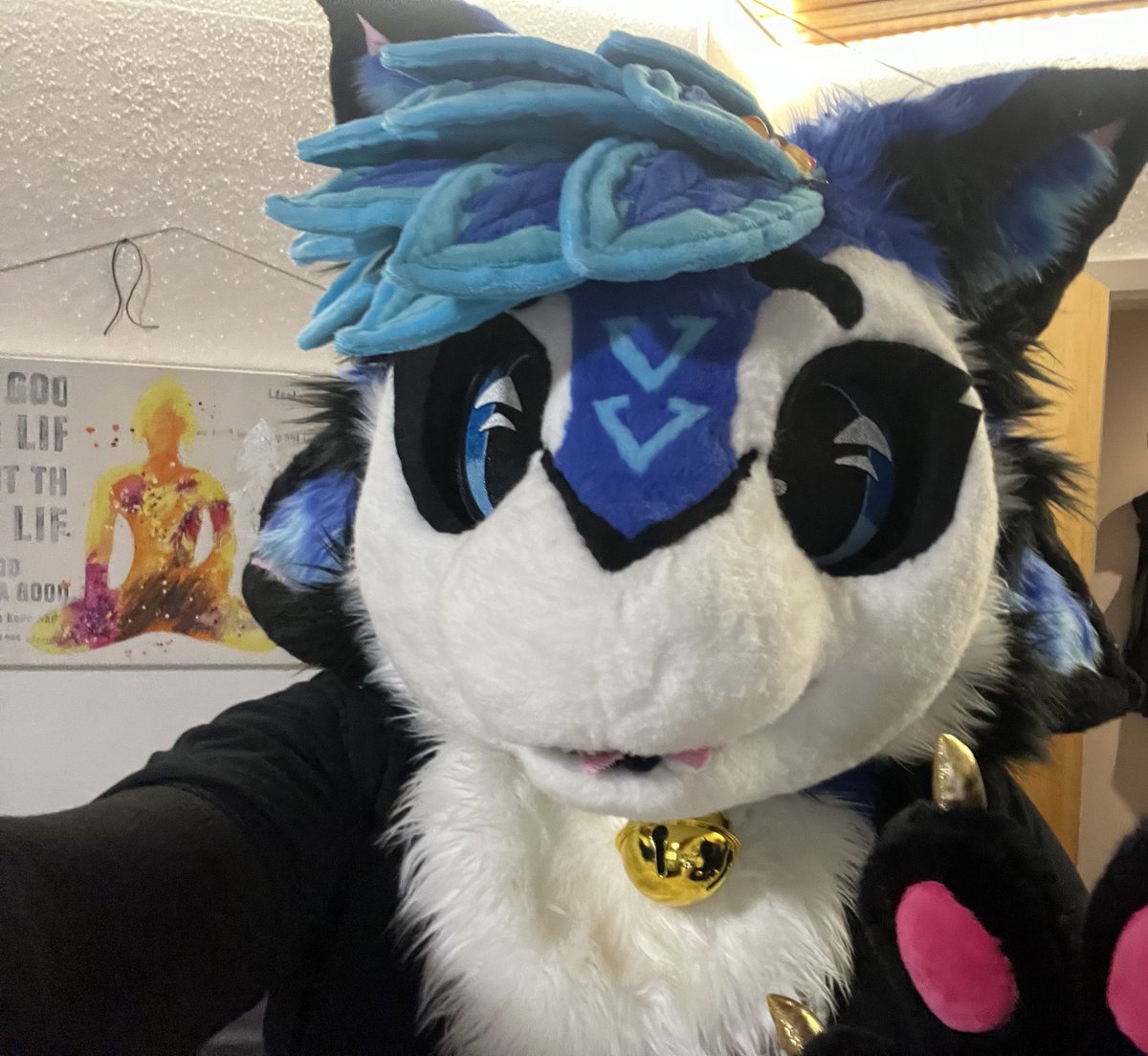 Sylvi 🔜 CFZ tweet media