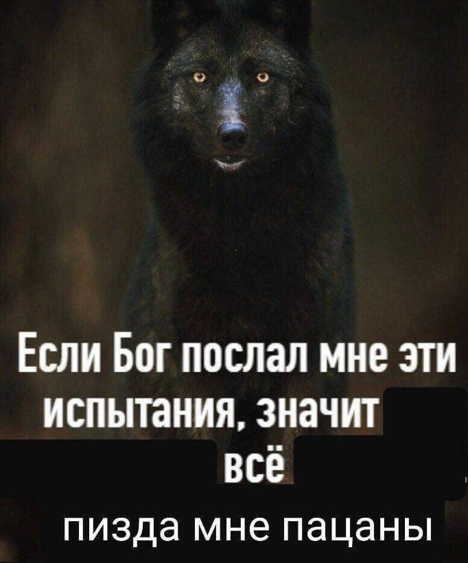 всякая хуйня в пизде  / X