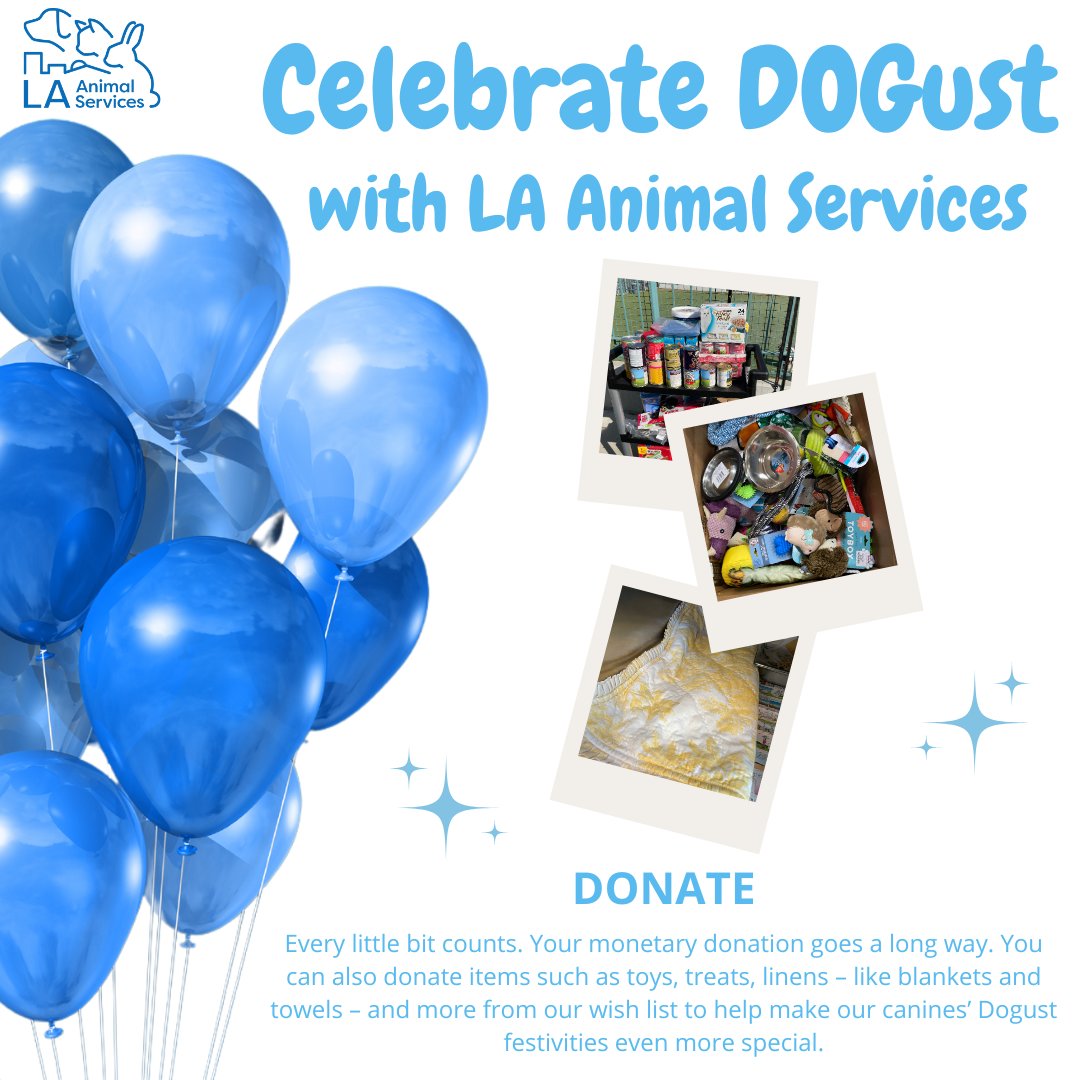 LACityPets's tweet photo. Celebrate #DOGust all month long by adopting, fostering, volunteering, or donating to LA Animal Services! We have so many wonderful pets ready to meet and go home with you! Visit https://t.co/vi9AMIH9z5 to learn more. #lacitypets #adoptashelterpet #DOGust #HumaneLA #adopt https://t.co/R5Y9xKkrCL