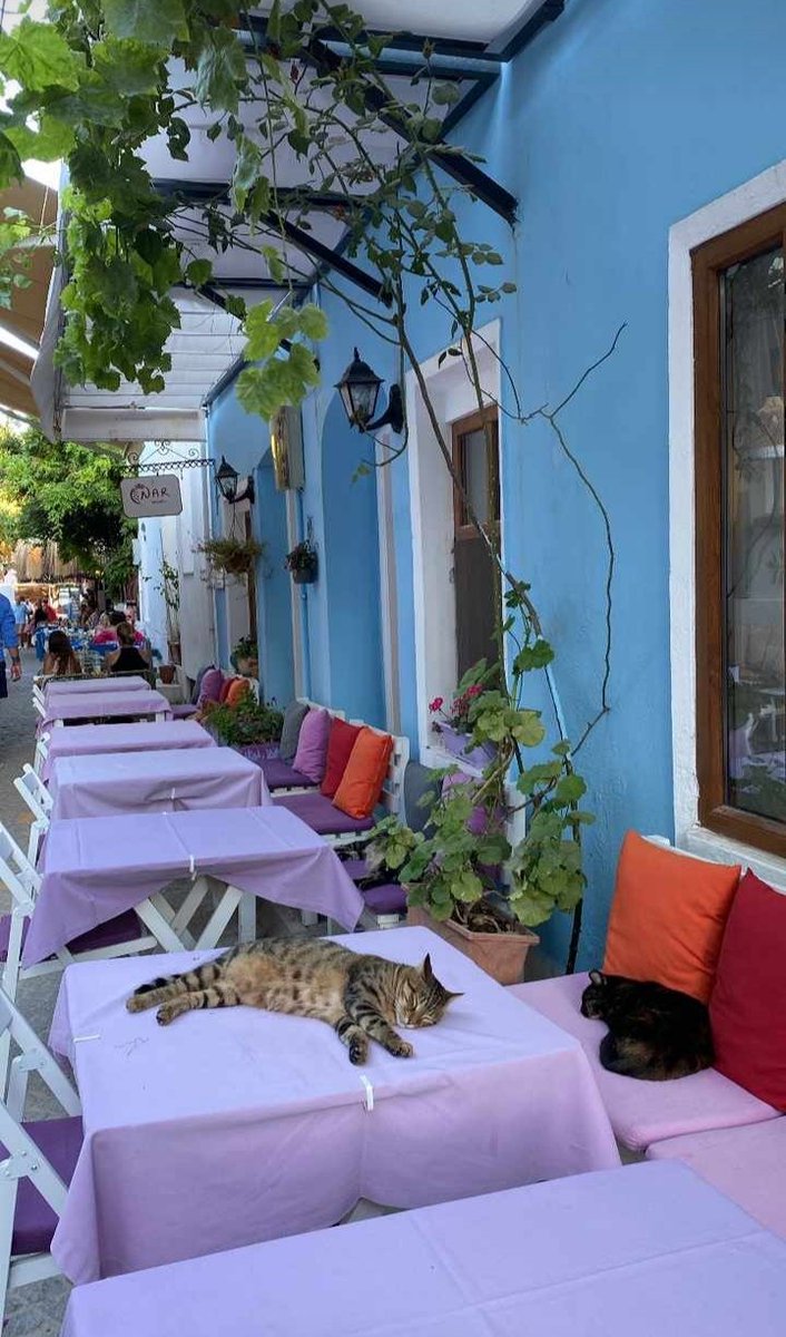 Figennnozenn's tweet photo. Eğer dünyaya yeniden gelme şansım olsaydı, 
bir kalbimin olmamasını isterdim.
Bunca zaman hiç durmadan acıyan bu kalbi içimde istemezdim. https://t.co/JCWN65qCh8