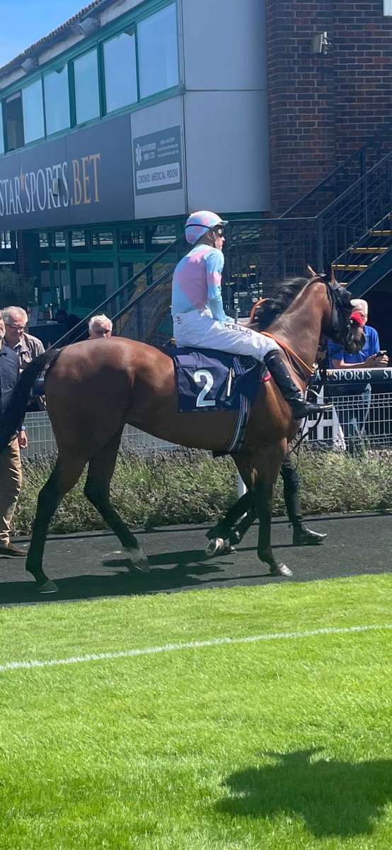 HarratonCourt's tweet photo. Well done team! 😍
Grace Angel wins at Brighton today! Congrats to owner R Nugent, jockey @_JasonWatson 
Winner 11 for #DarryllHolland #HarratonCourtStables https://t.co/HtbZTdgAAM