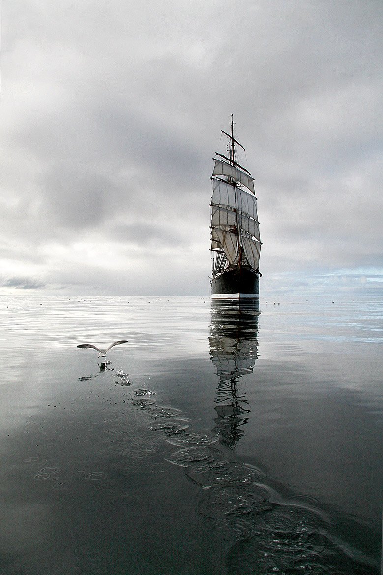DenWerol's tweet photo. #Sedov #Baltic sea #Atlantic Ocean https://t.co/K8Mbt1tpHp