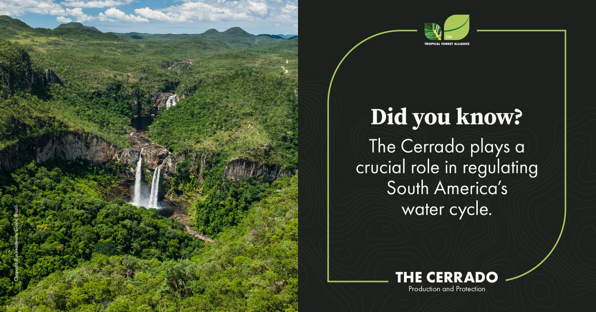 tfa_Global's tweet image. The #Cerrado accounts for 14% of Brazil’s surface water resources, and Brazil relies heavily on hydropower.

But without a transition towards sustainable #landuse practices, river flow is expected to reduce by 1/3 by 2050.

Learn more: weforum.org/publications/t…

@wef @SYSTEMIQ_Ltd