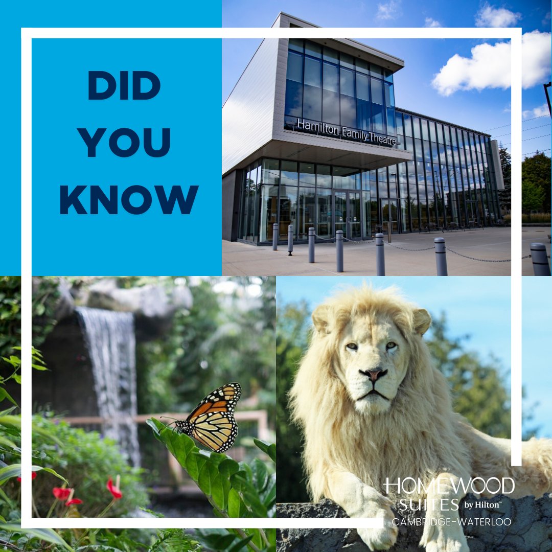 DID YOU KNOW ❓

We have package deals with several partners in the Waterloo region to provide you with great entertainment and experiences when you stay with us!! Call us today to book!  ☎️ 519-651-2888

#homewoodsuitesbyhilton #ontario #cambridge #staywithus #travel #summer