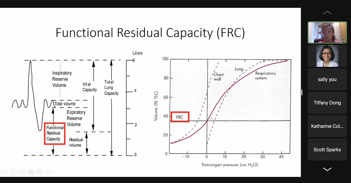 Nazish Hashmi M.D (@nazishhashmi1) on Twitter photo Kicking off our new academic year at #DukeAnesCCM with a cool talk by Dr. Nina Chen from <a href="/DukePACC/">Duke Pulmonary Allergy and Critical Care</a>. Back to basics with learning about the physiologically difficult airway for intubation @DukeAnesFellows <a href="/Duke_Anesthesia/">Duke Anesthesiology</a> <a href="/SandyAnMD/">Sandy</a> Kicking off our new academic year at #DukeAnesCCM with a cool talk by Dr. Nina Chen from <a href="/DukePACC/">Duke Pulmonary Allergy and Critical Care</a>. Back to basics with learning about the physiologically difficult airway for intubation @DukeAnesFellows <a href="/Duke_Anesthesia/">Duke Anesthesiology</a> <a href="/SandyAnMD/">Sandy</a>