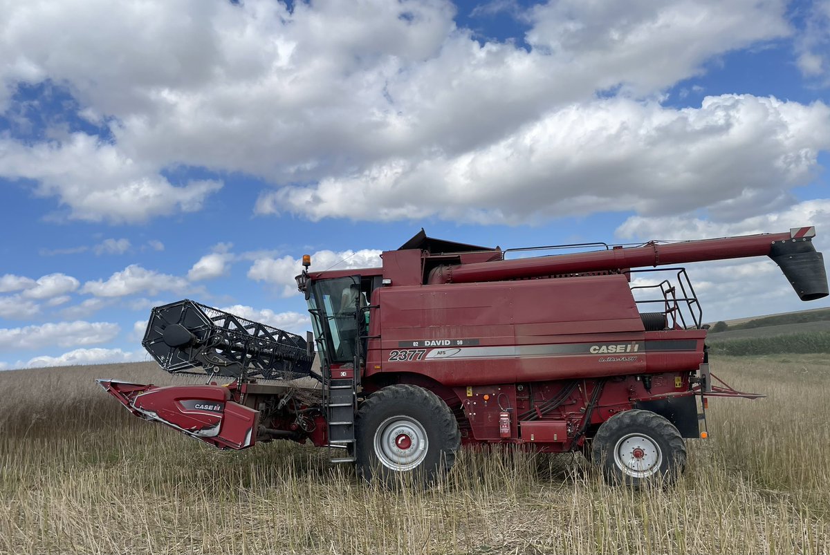 pierreolivier02's tweet photo. @MoissonLive , on continue avec une belle #moutarde #condiment secteur @ardennescd08 avec une @Case_IH
La réception se fait dans le silo de #Chaourse du @Groupe_ISSIPA
Bon courage aux #agriculteurs pour cette fin de #moisson2024 https://t.co/Ej2831t2mS