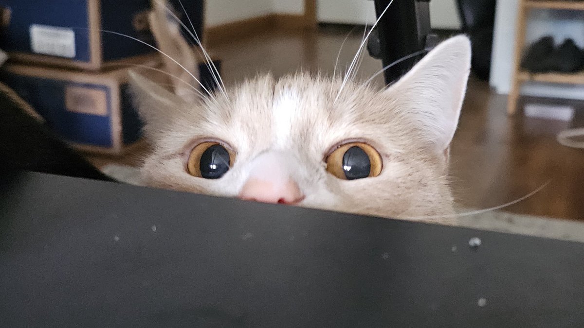 👁 🩷 👁