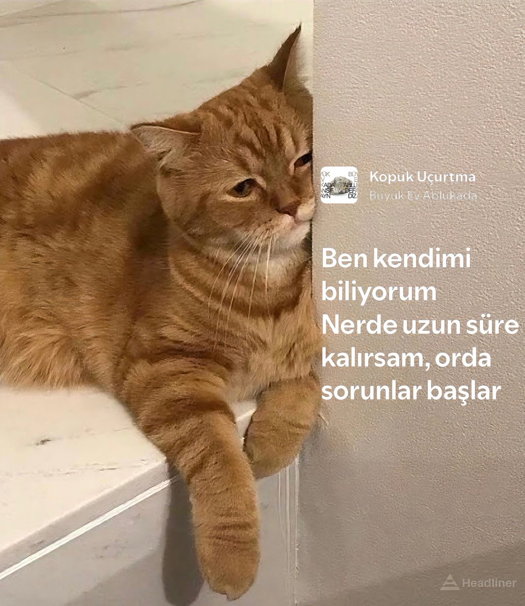 Headliner (@headlinertr) on Twitter photo 