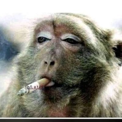 l’inconscient ☠️🫡🇹🇩 tweet media