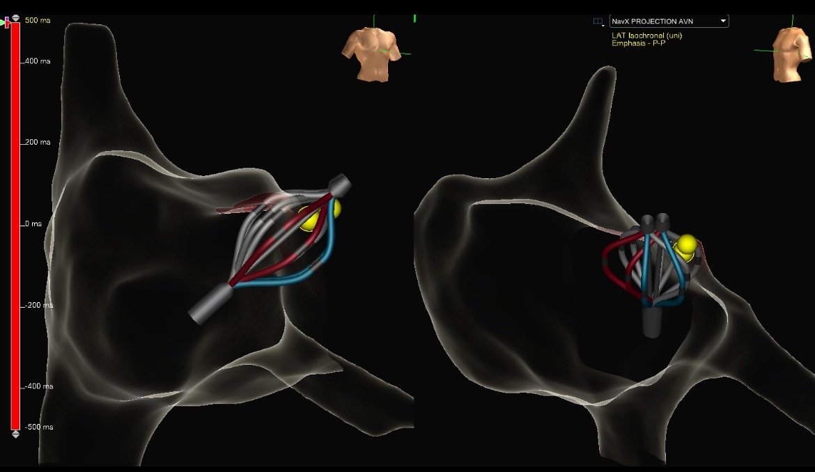 Cyrus Hadadi, MD tweet media