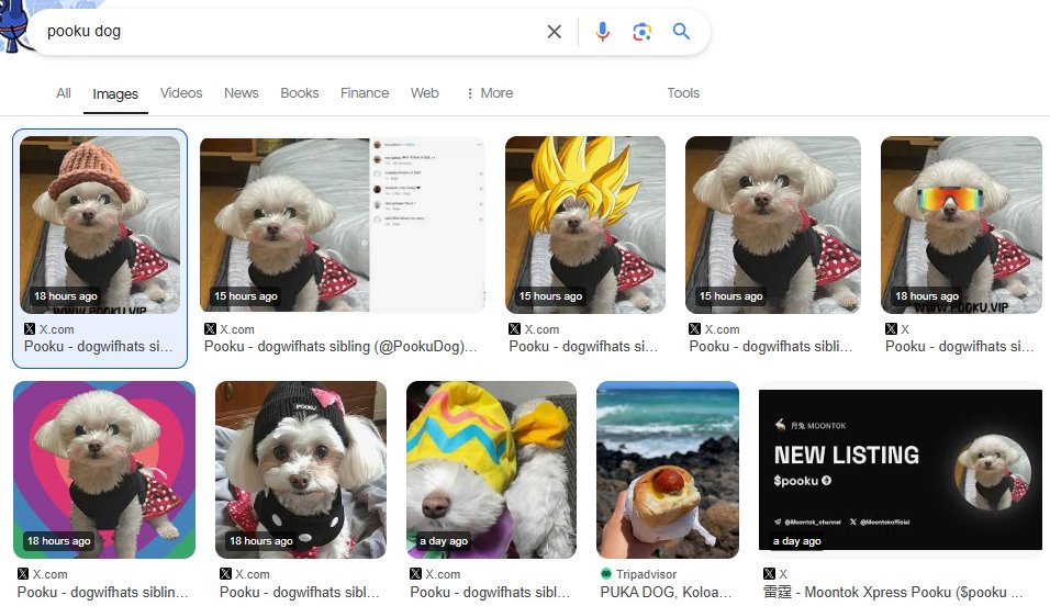 PookuDog's tweet photo. Dextools Says it:

https://t.co/FYlM3H4LTL

0xabcde3e9a7522ff458a55efce4948d4e435a4ece

$pooku google knows it https://t.co/UpvUISiK0U