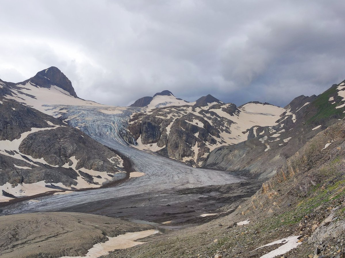 Matthias Huss tweet media