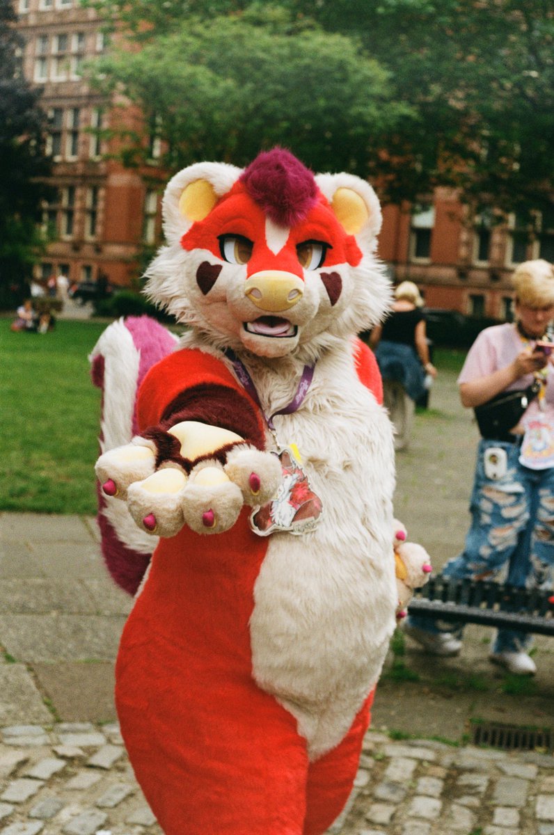 CherrySkunky's tweet image. he’s inviting you to come with him to the YorkshireFurs summer party 🐾🦨 @YFSummerParty