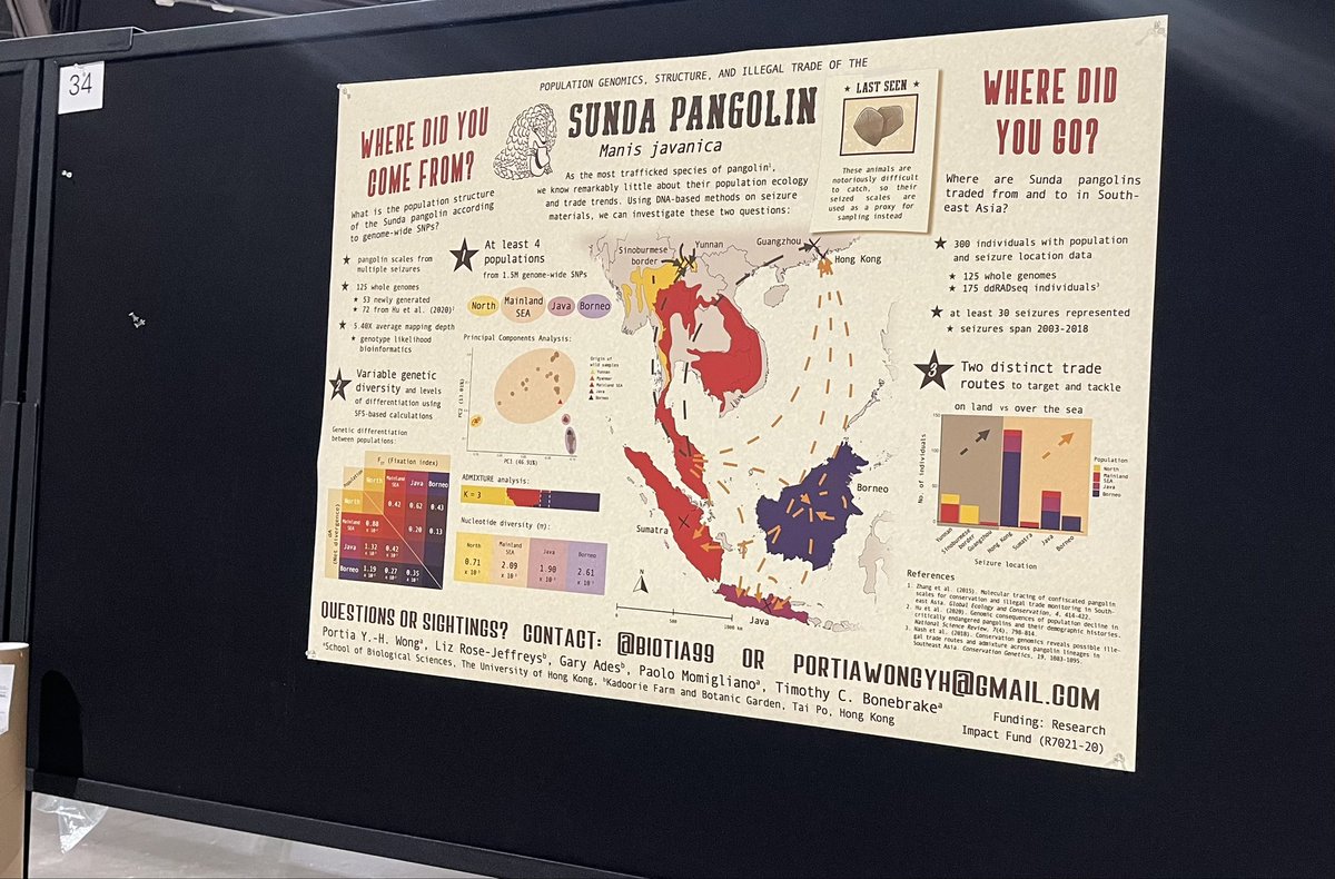 #ESA2024 folks, come check out our pangolin posters today! <a href="/biotia99/">Portia Wong</a> and I are excited to share our research with you! Posters 33 and 34 😊 <a href="/ESA_org/">Ecological Society</a>