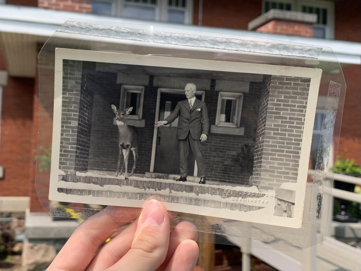 Post 1/2
Though Jack is often taken as synonymous with waterfowl, he was also known to have intimate relationships with other creatures of nature. Anyone who visited his Sanctuary during its heydays in the '30s and '40s could expect wild song birds to land on their shoulders

...