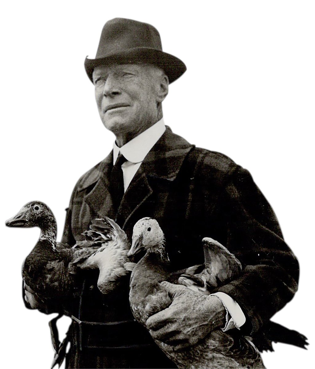 Post 2/2

...and wild deer to eat from their hands.
"One of the common questions asked around my home is: ‘How do you understand birds so well?’ Really, the birds are an open book. The question is how to understand humanity." (Jack, from "Jack Miner and the Birds")