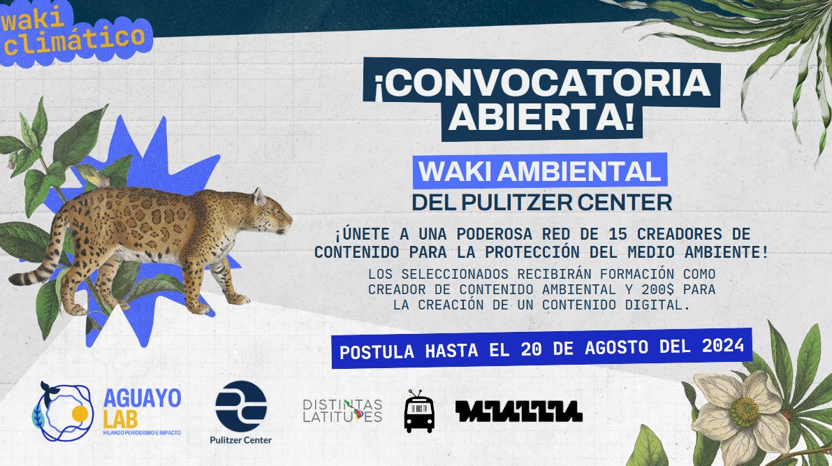 Distintas Latitudes tweet media