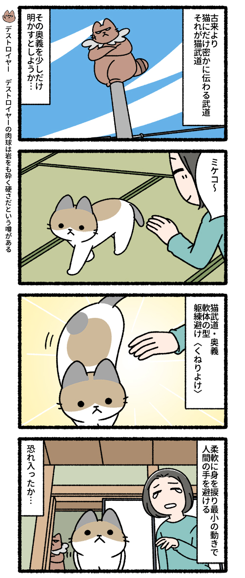 悪の秘密結社ネコ いざ極めん、猫武道!編 #悪の秘密結社ネコ