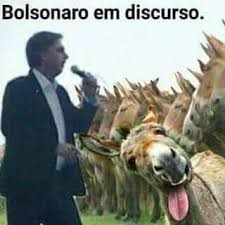 RicSo23111's tweet photo. Sempre trabalhando contra...
Mas o vagabundo não vetou o auxílio pra mais de 70 mil militares, q embora empregados, também receberam
---
eu autorizo dino
bolsonaro taxou você
bolsonaro taxou atletas https://t.co/MLhtJa6qvJ