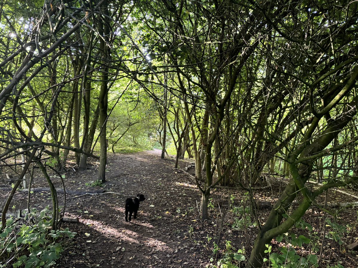 @TheImageDarling tweet media