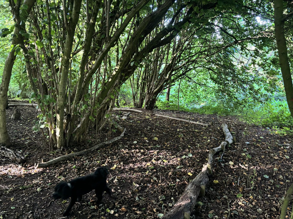 @TheImageDarling tweet media