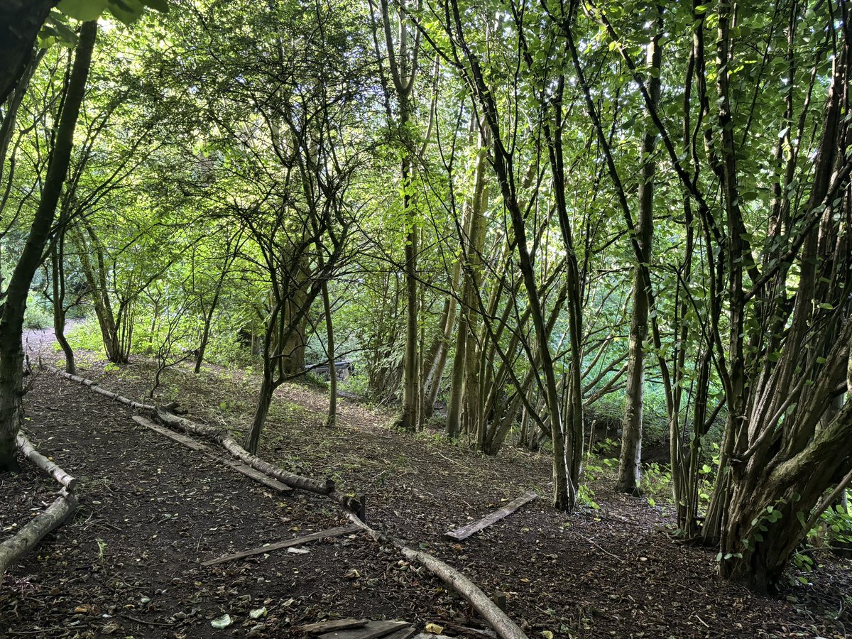 @TheImageDarling tweet media