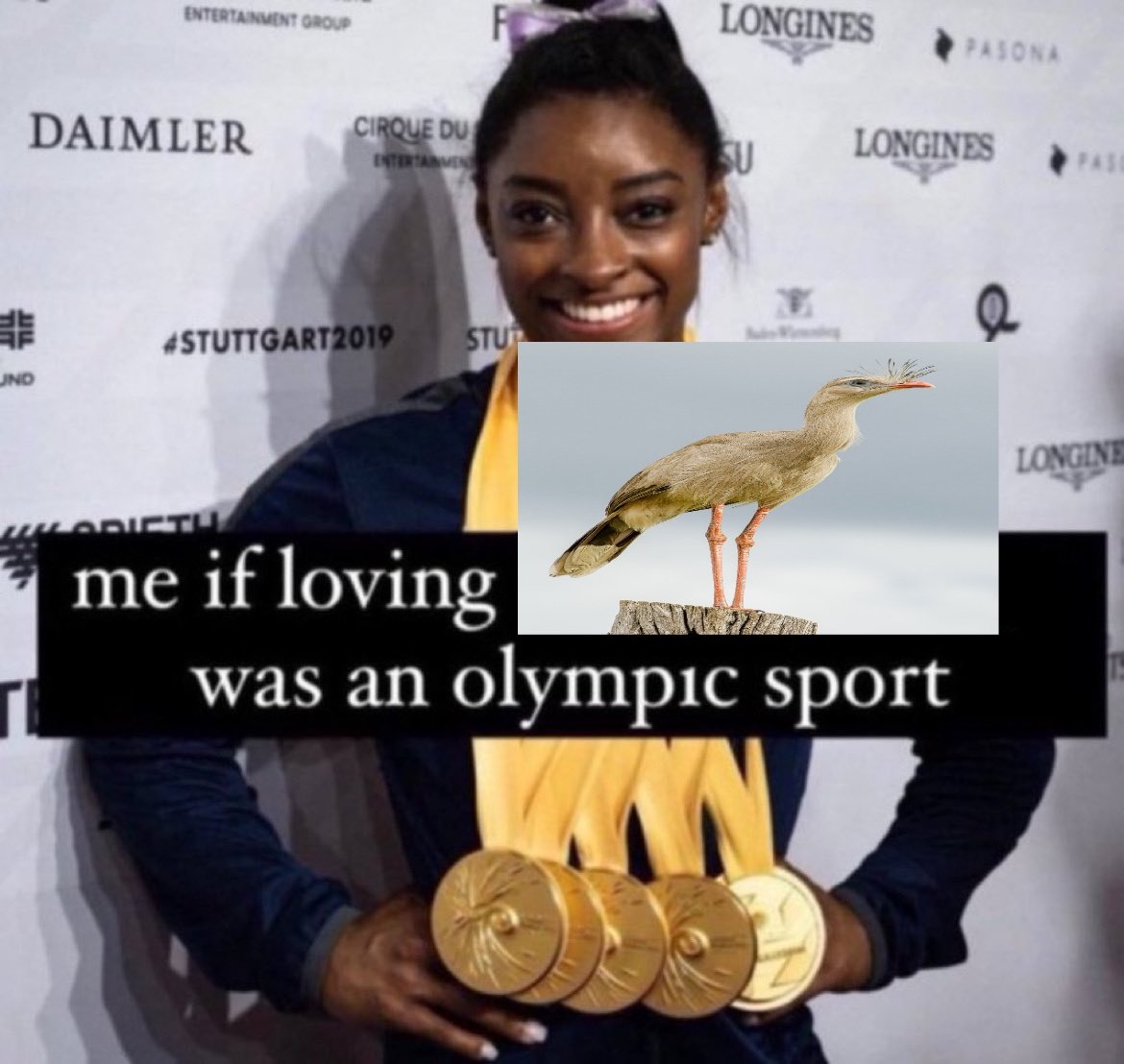 shadoo🪲🇵🇸(silly creature enjoyer) (@shadoocreature) on Twitter photo 