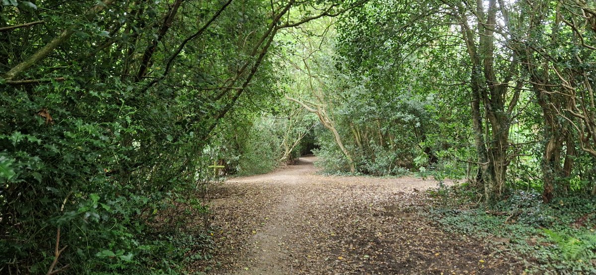 Ian Burgoyne tweet media