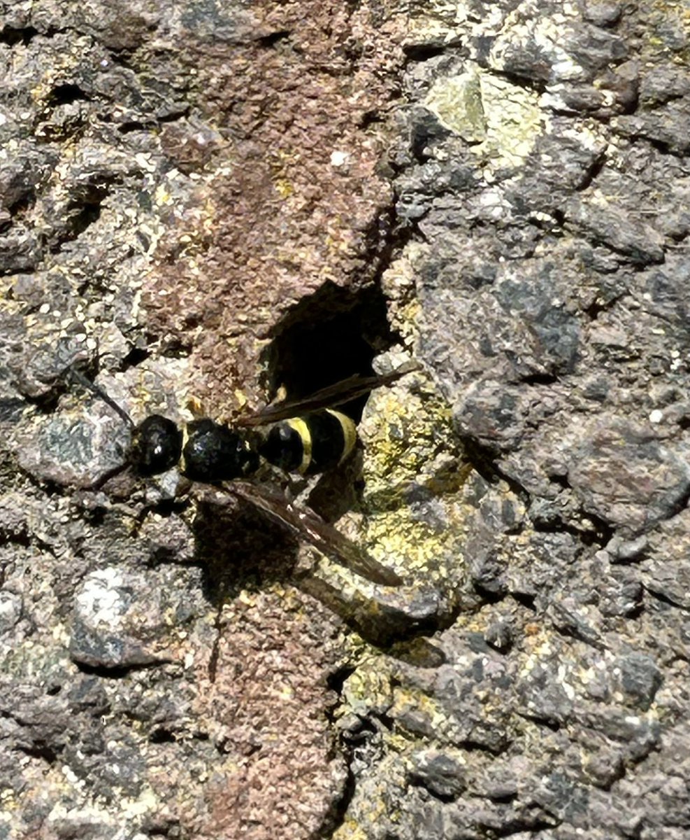 David Kelly tweet media